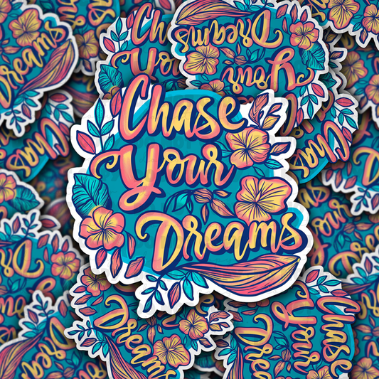 Chase your dreams all sticker